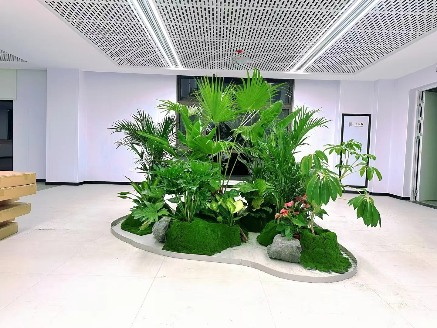 惊！宁波镇海花木出租，价格实惠超乎想象